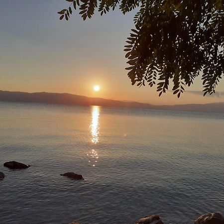 Guesthouse Zimovski Peštani エクステリア 写真