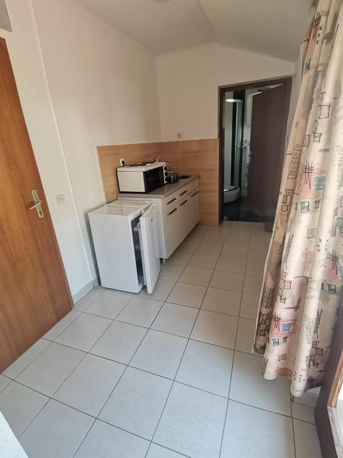 Guesthouse Zimovski Peštani エクステリア 写真