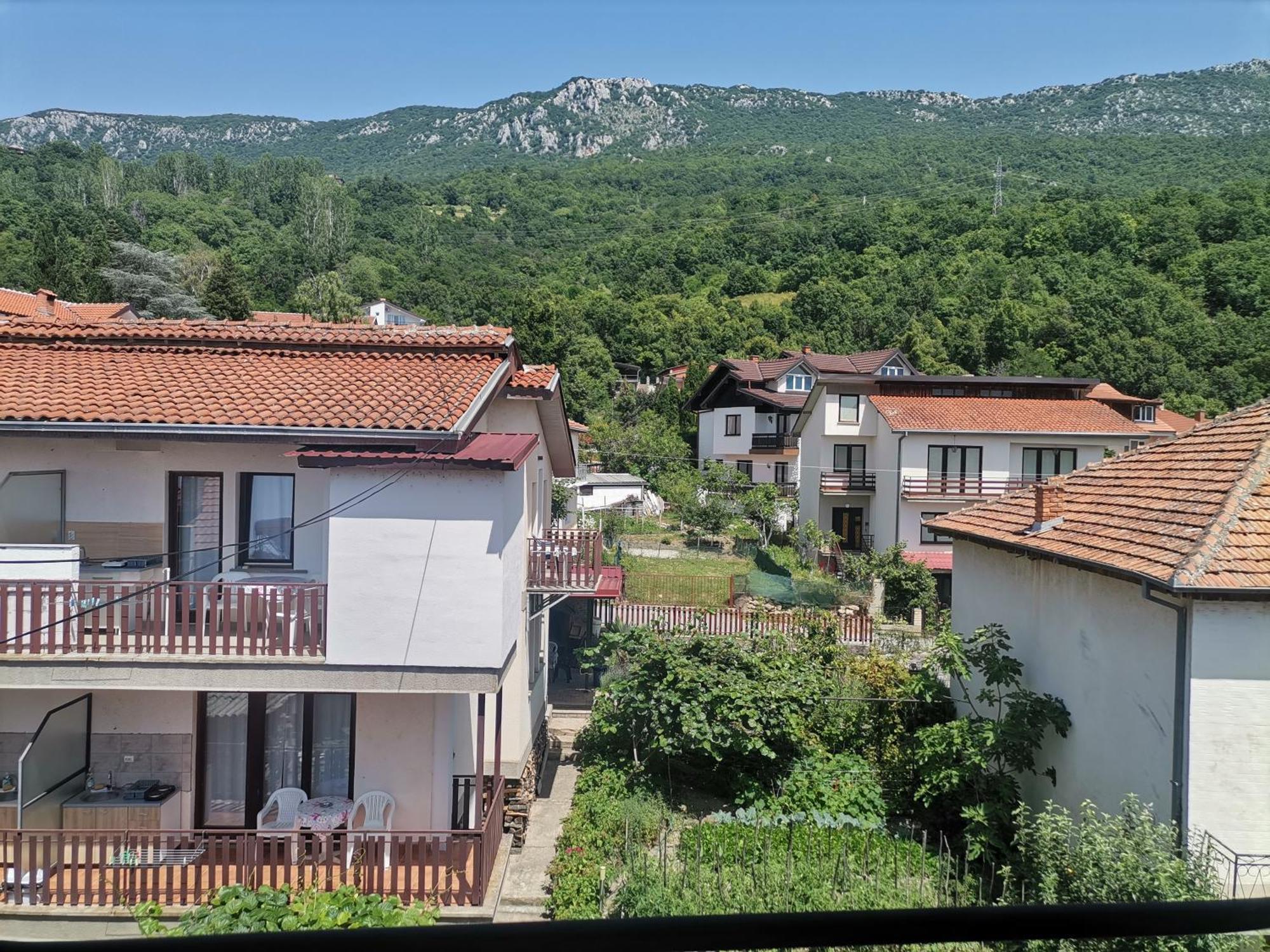 Guesthouse Zimovski Peštani エクステリア 写真