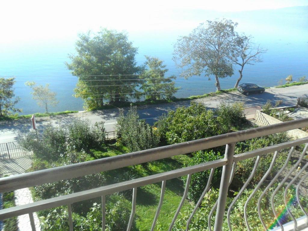Guesthouse Zimovski Peštani エクステリア 写真