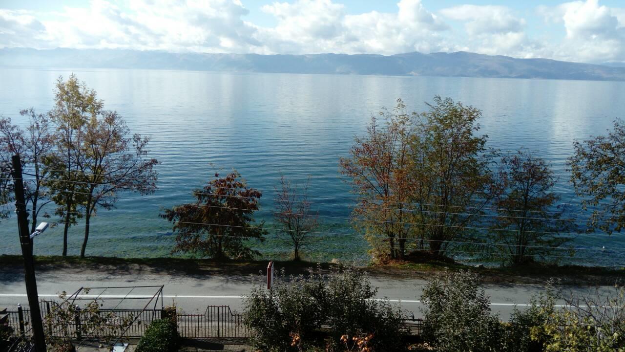Guesthouse Zimovski Peštani エクステリア 写真