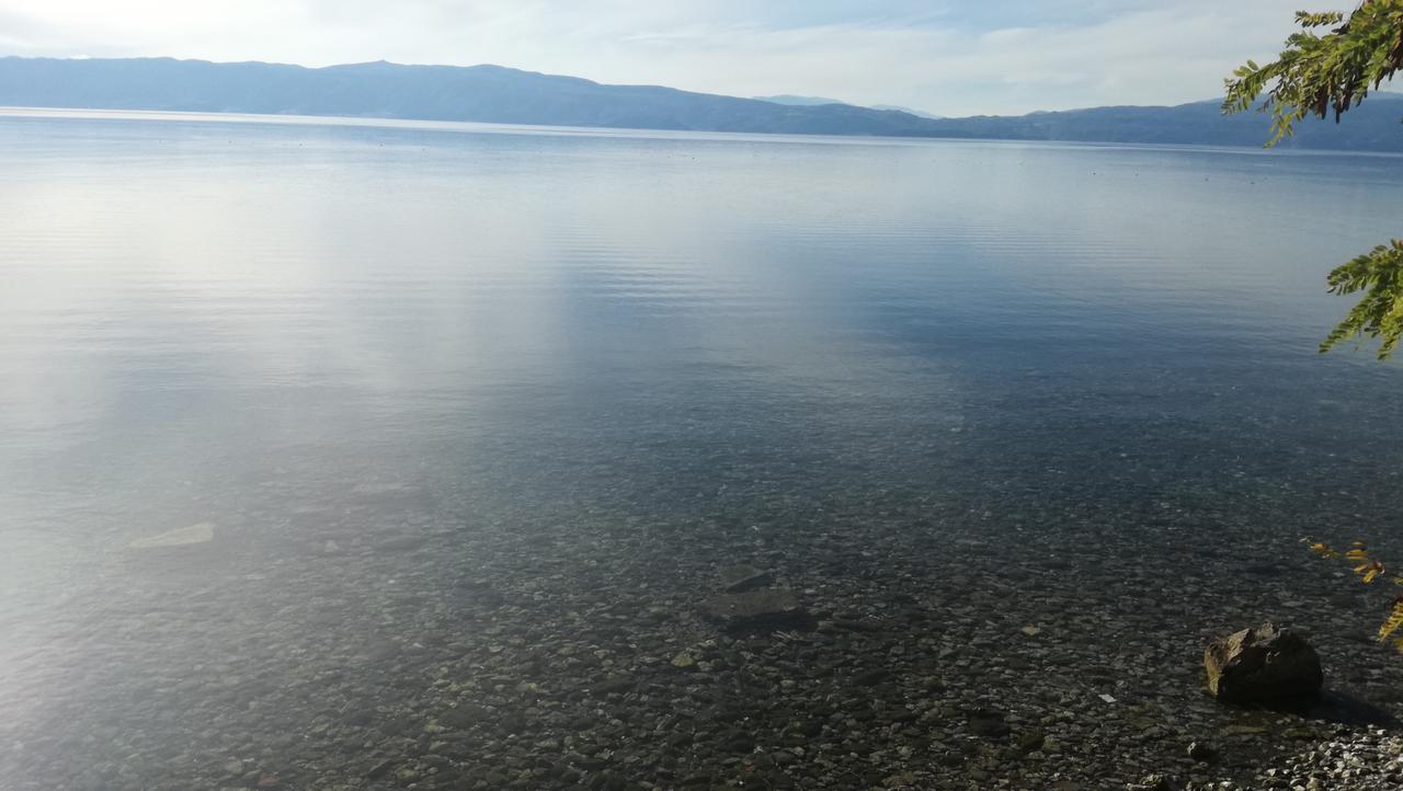 Guesthouse Zimovski Peštani エクステリア 写真