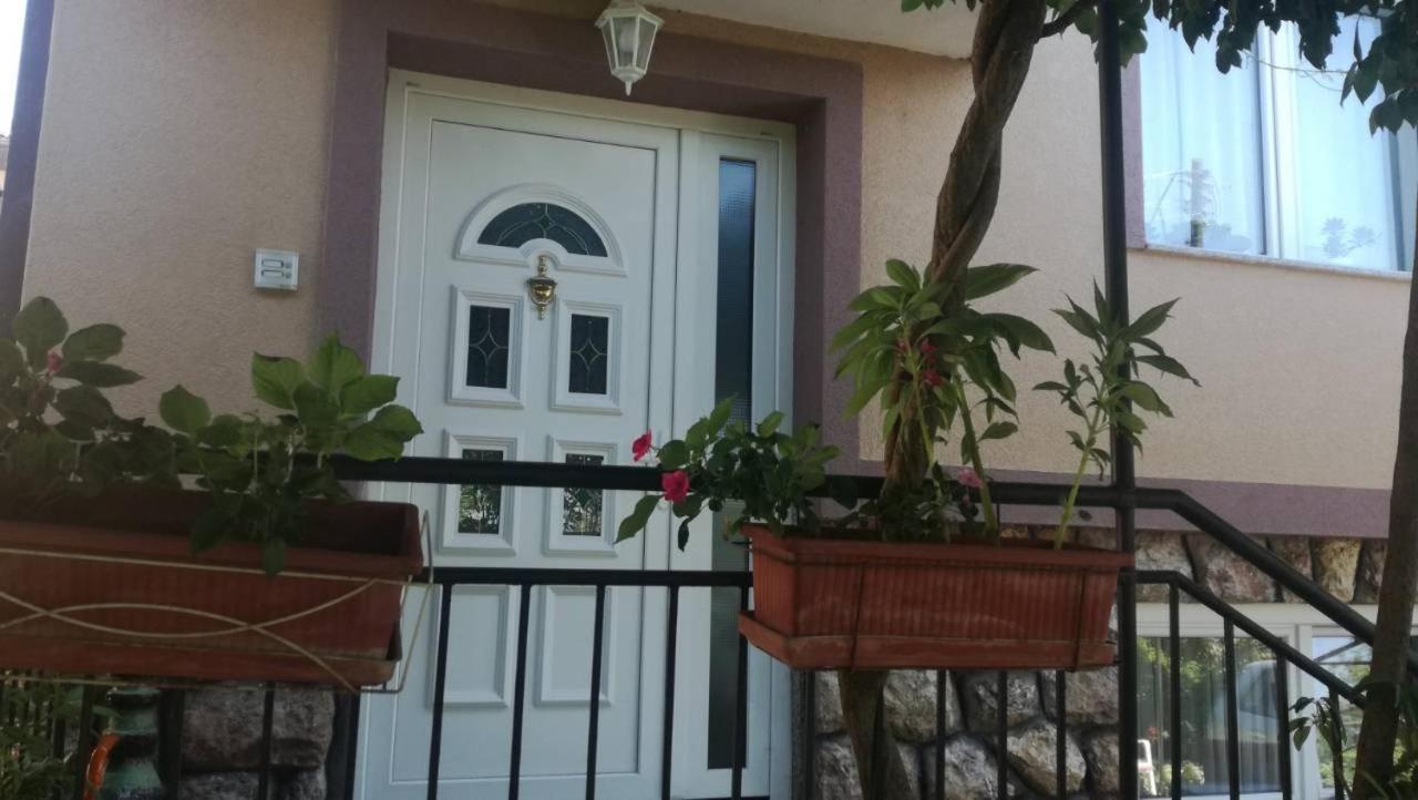 Guesthouse Zimovski Peštani エクステリア 写真