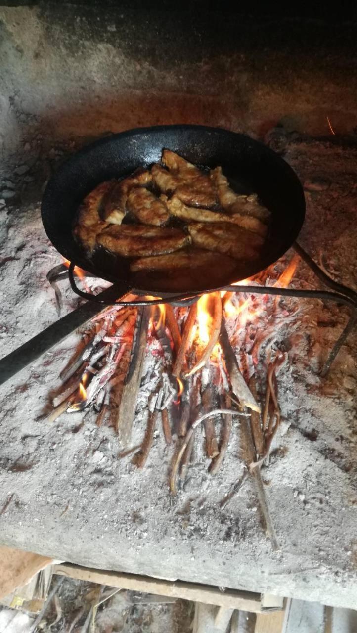 Guesthouse Zimovski Peštani エクステリア 写真