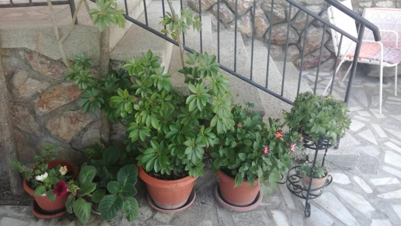 Guesthouse Zimovski Peštani エクステリア 写真