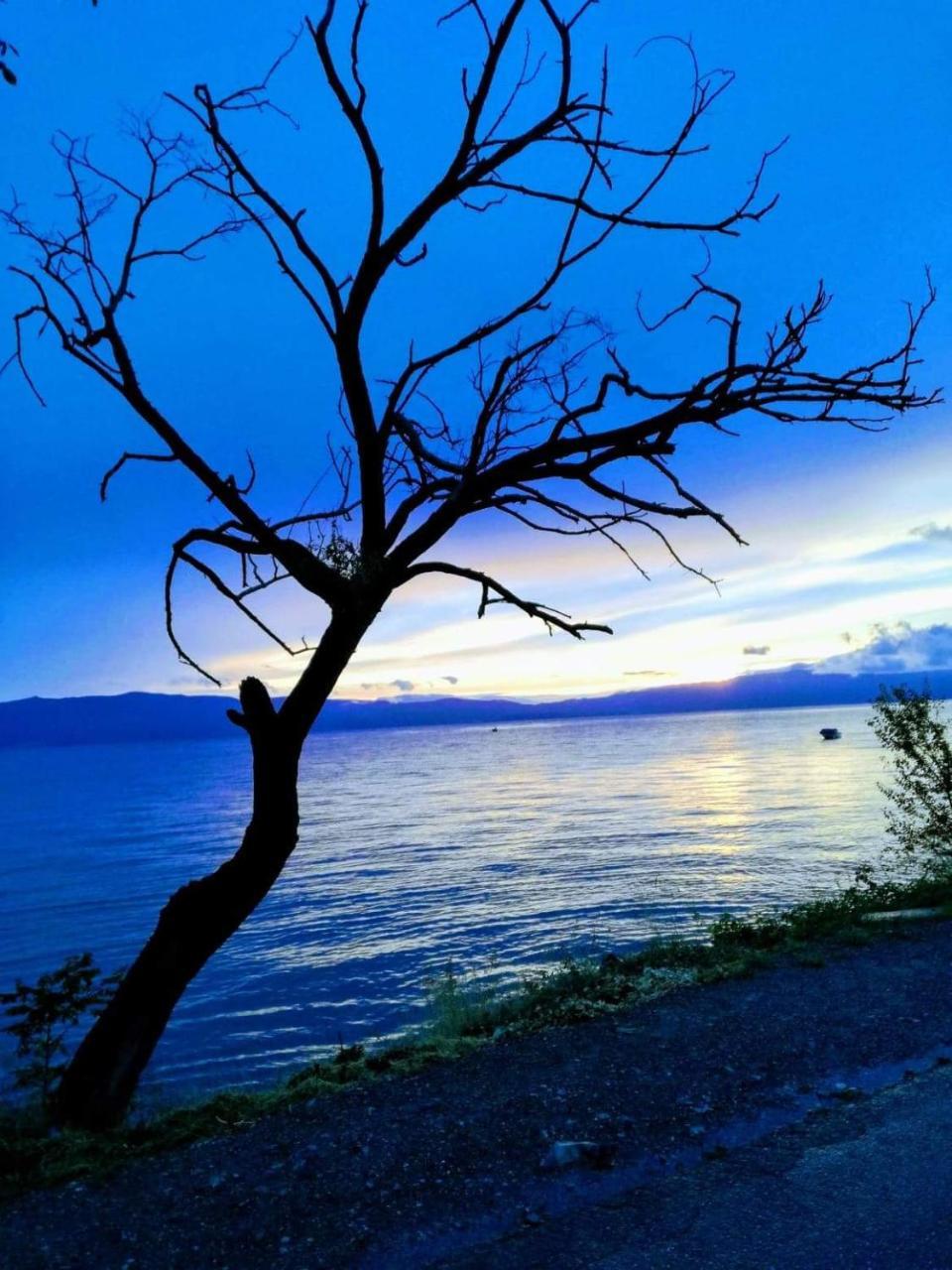 Guesthouse Zimovski Peštani エクステリア 写真