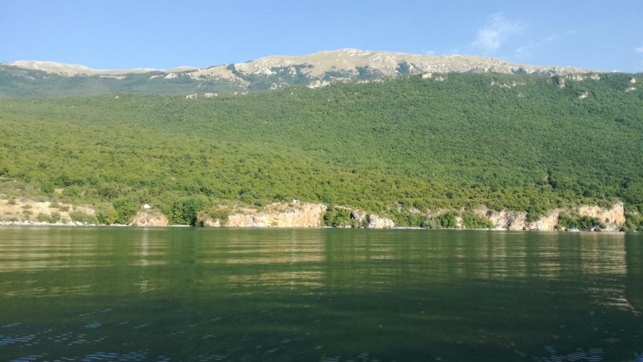 Guesthouse Zimovski Peštani エクステリア 写真